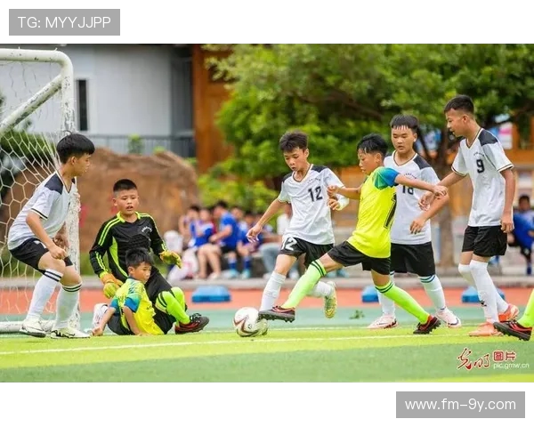 聚焦江阴一中足球球员名单与校园绿茵风采全面解析展望未来新